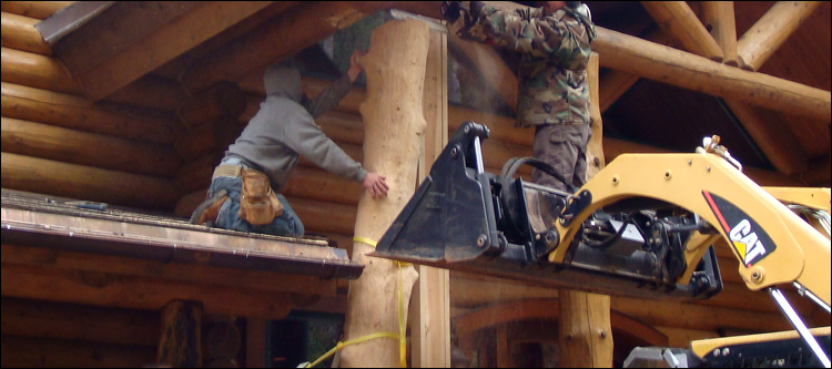 Log Home Log Replacement  Richland County, Ohio