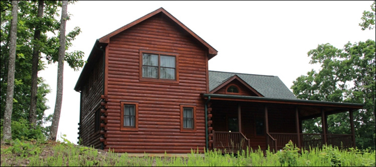 Professional Log Home Borate Application  Richland County, Ohio